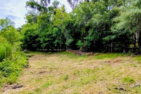Terreno en venta en Brooksville, Florida № 2109450 - foto 2