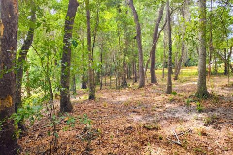 Terreno en venta en Brooksville, Florida № 2109450 - foto 16