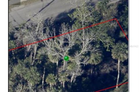 Land in Daytona Beach, Florida № 2161271