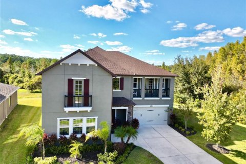 House in Wesley Chapel, Florida 5 bedrooms, 378.02 sq.m. № 2152362