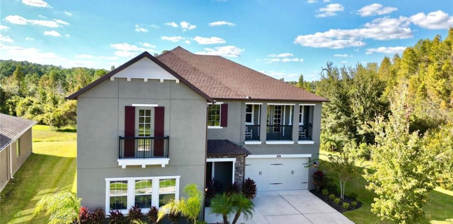 Casa en Wesley Chapel, Florida 5 dormitorios, 378.02 m2 № 2152362