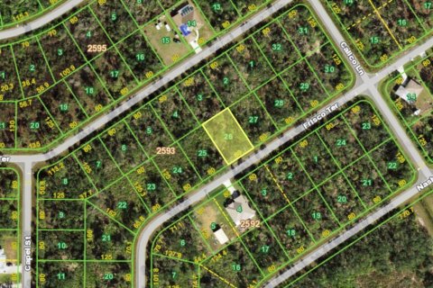 Land in Port Charlotte, Florida № 2166270 - photo 2