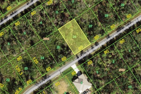 Land in Port Charlotte, Florida № 2166270