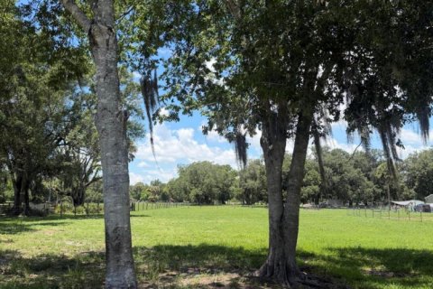 Immobilier commercial à vendre à Okeechobee, Floride № 2241924 - photo 3