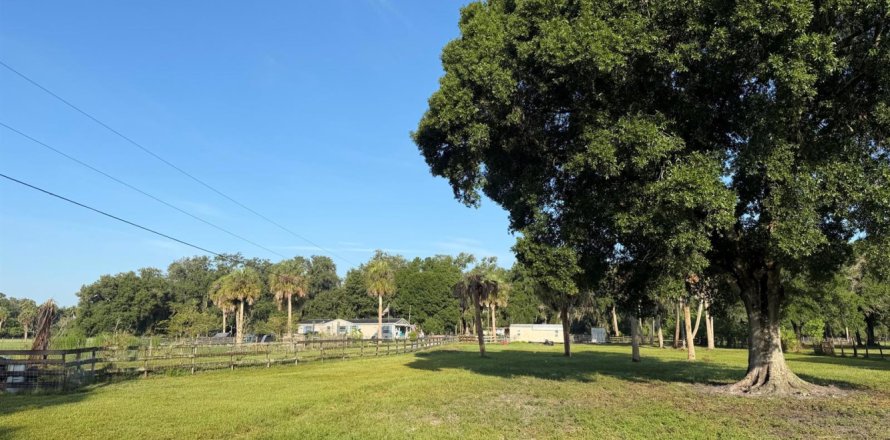 Immobilier commercial à Okeechobee, Floride № 2241924