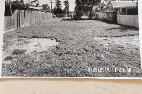 Land in Hollywood, Florida № 1940440 - photo 4