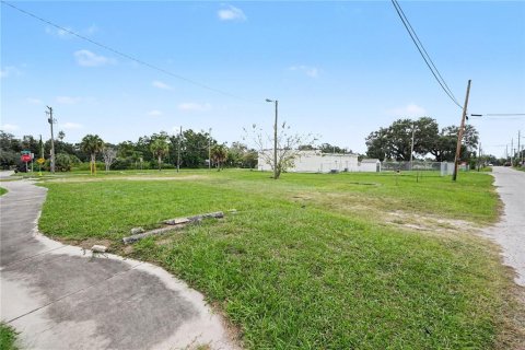 Land in Tampa, Florida № 2396383 - photo 5