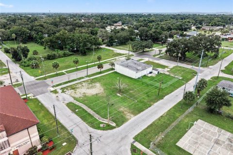 Land in Tampa, Florida № 2396383 - photo 7