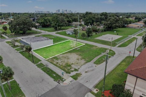 Land in Tampa, Florida № 2396383 - photo 8