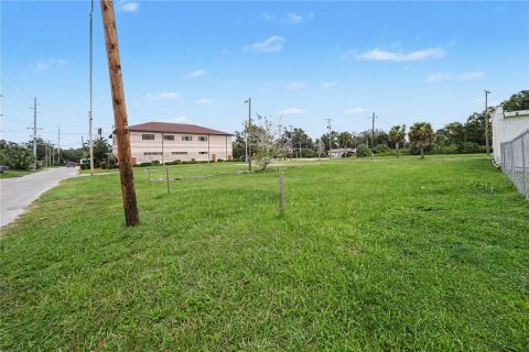 Land in Tampa, Florida № 2396383 - photo 3