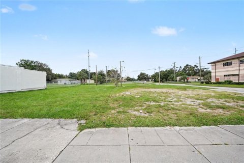 Land in Tampa, Florida № 2396383 - photo 2