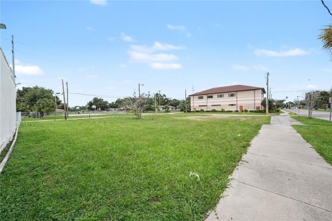 Land in Tampa, Florida № 2396383 - photo 4