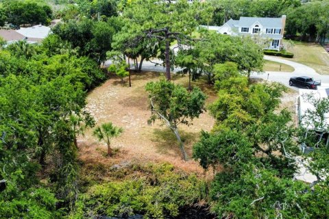 Terreno en venta en Tarpon Springs, Florida № 2095862 - foto 14