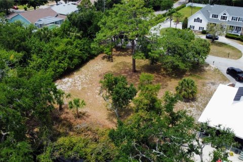 Terreno en venta en Tarpon Springs, Florida № 2095862 - foto 12