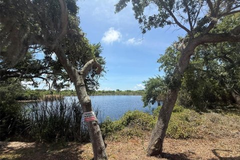 Terreno en venta en Tarpon Springs, Florida № 2095862 - foto 6