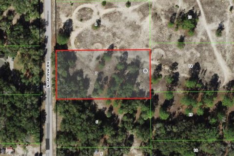 Land in Dunnellon, Florida № 2162365 - photo 9