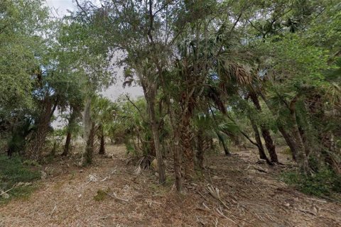 Land in Dunnellon, Florida № 2162365 - photo 5