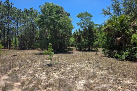 Land in Dunnellon, Florida № 2162365 - photo 7