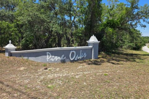 Land in Dunnellon, Florida № 2162365 - photo 8