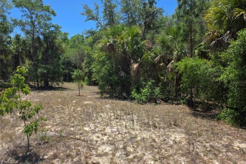Land in Dunnellon, Florida № 2162365 - photo 3