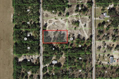 Land in Dunnellon, Florida № 2162365 - photo 10