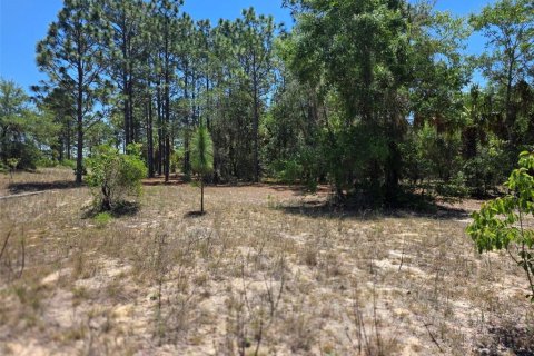 Terreno en Dunnellon, Florida № 2162365