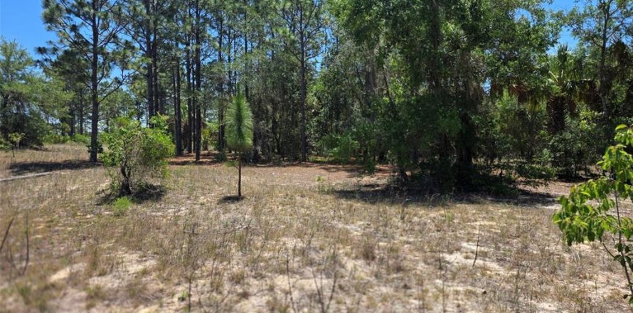 Land in Dunnellon, Florida № 2162365