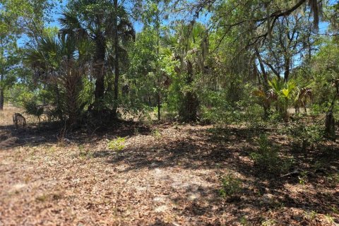 Land in Dunnellon, Florida № 2162365 - photo 2