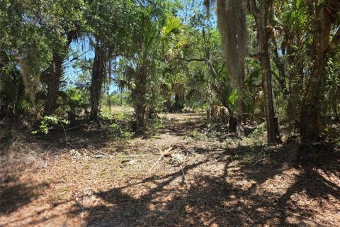 Land in Dunnellon, Florida № 2162365 - photo 4