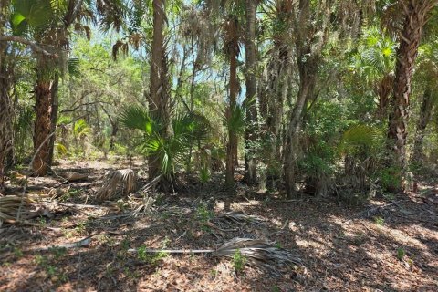 Land in Dunnellon, Florida № 2162365 - photo 6