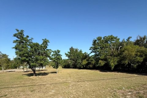 House in Lake Wales, Florida 1 bedroom, 66.89 sq.m. № 1719826 - photo 19