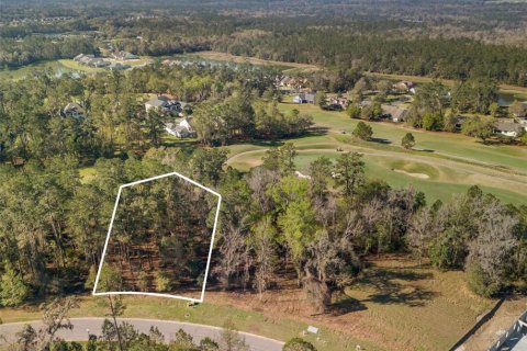 Terreno en venta en Brooksville, Florida № 1522766 - foto 6