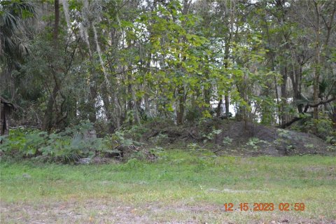 Casa en venta en Summerfield, Florida, 3 dormitorios, 184.32 m2 № 914885 - foto 8