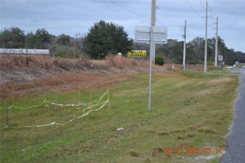 Casa en venta en Summerfield, Florida, 3 dormitorios, 184.32 m2 № 914885 - foto 4