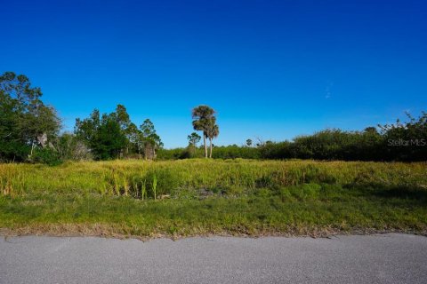 Land in Port Charlotte, Florida № 1574495 - photo 6