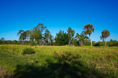 Land in Port Charlotte, Florida № 1574495 - photo 5