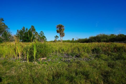 Land in Port Charlotte, Florida № 1574495 - photo 8