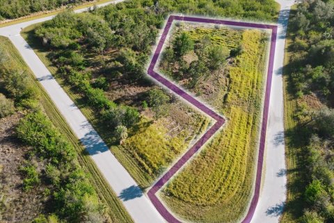 Land in Port Charlotte, Florida № 1574495 - photo 12