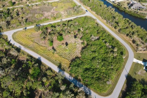 Land in Port Charlotte, Florida № 1574495 - photo 2