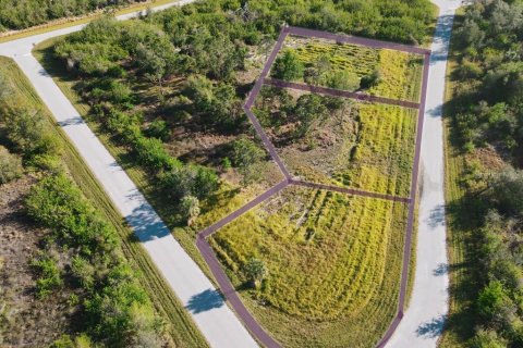 Land in Port Charlotte, Florida № 1574495 - photo 13