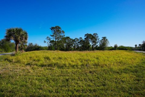 Land in Port Charlotte, Florida № 1574495 - photo 10