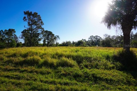 Land in Port Charlotte, Florida № 1574495 - photo 11