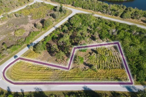 Land in Port Charlotte, Florida № 1574495 - photo 1