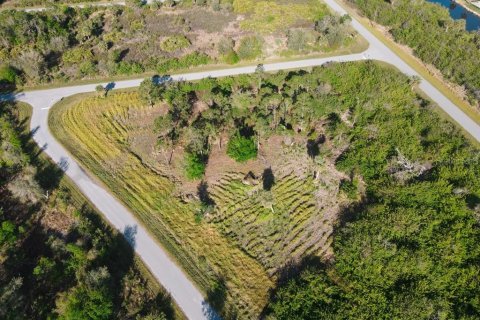 Land in Port Charlotte, Florida № 1574495 - photo 3