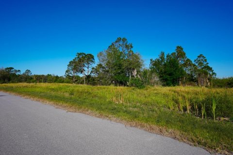 Land in Port Charlotte, Florida № 1574495 - photo 7