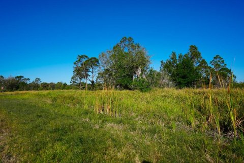 Land in Port Charlotte, Florida № 1574495 - photo 9