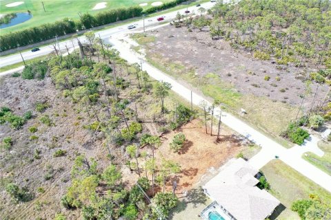Land in Englewood, Florida № 1123870 - photo 12