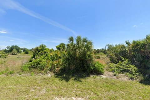 Land in Port Charlotte, Florida № 2165789 - photo 3
