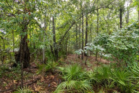 Adosado en venta en Gainesville, Florida, 2 dormitorios, 103.21 m2 № 1759831 - foto 25