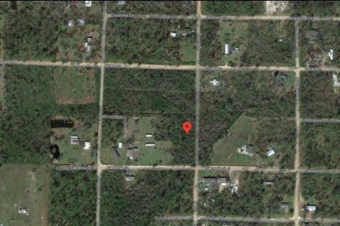Land in Fountain, Florida № 1347295 - photo 3